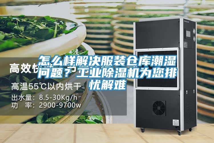 怎么样解决服装仓库潮湿问题？工业杏仁直播app最新版下载为您排忧解难