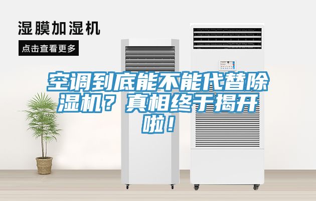 空调到底能不能代替杏仁直播app最新版下载？真相终于揭开啦！