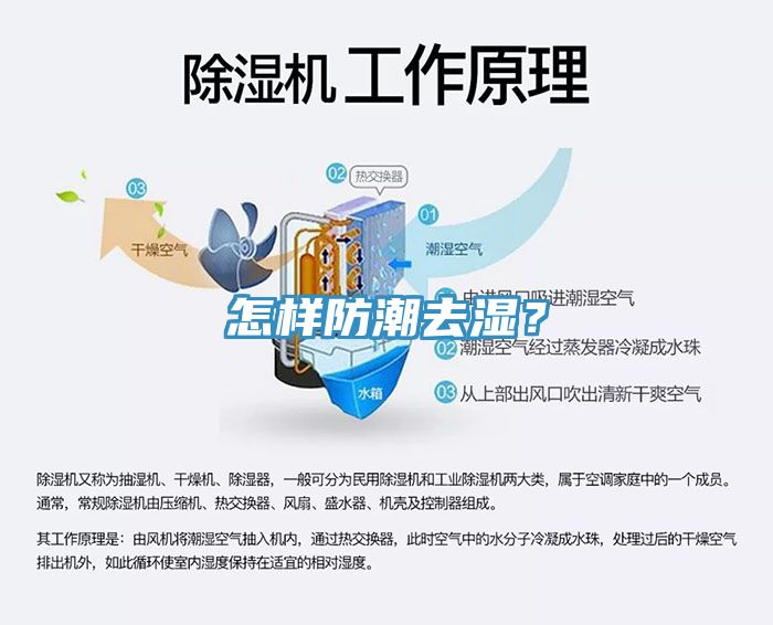 怎样防潮去湿？