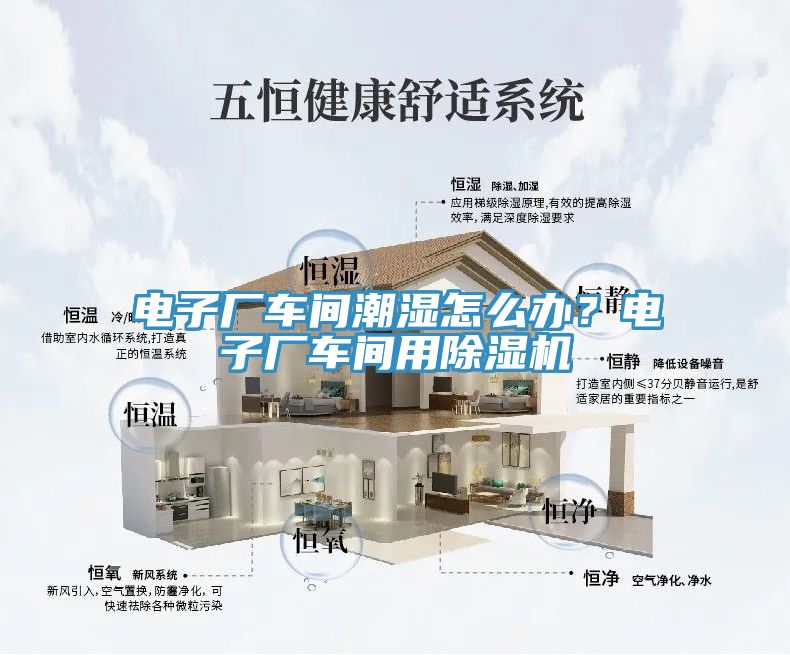 电子厂车间潮湿怎么办？电子厂车间用杏仁直播app最新版下载