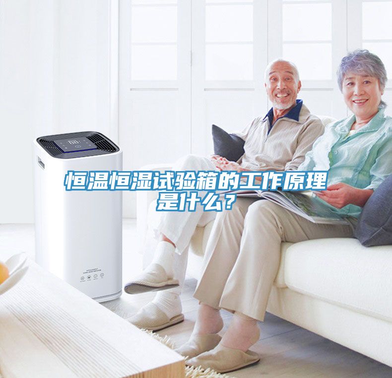 恒温恒湿试验箱的工作原理是什么？