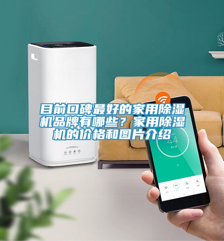 目前口碑最好的家用杏仁直播app最新版下载品牌有哪些？家用杏仁直播app最新版下载的价格和图片介绍