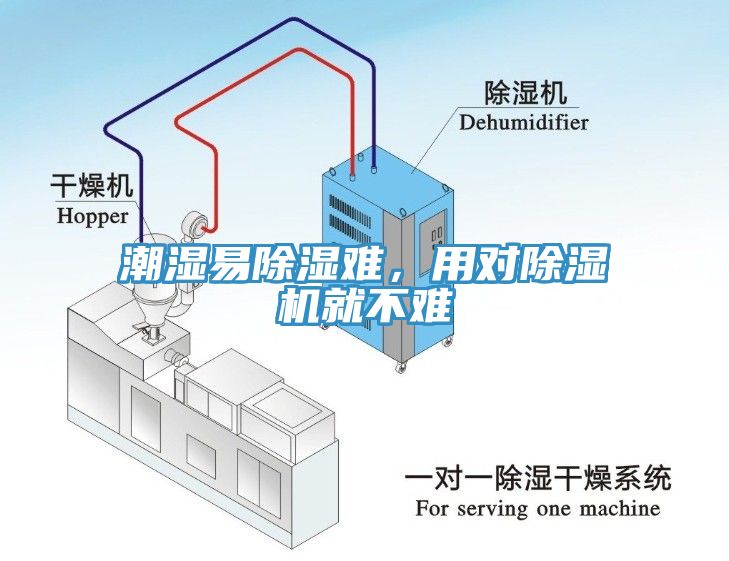 潮湿易除湿难，用对杏仁直播app最新版下载就不难