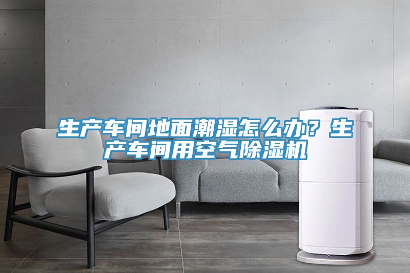 生产车间地面潮湿怎么办？生产车间用空气杏仁直播app最新版下载