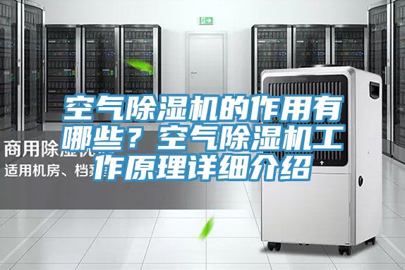 空气杏仁直播app最新版下载的作用有哪些？空气杏仁直播app最新版下载工作原理详细介绍