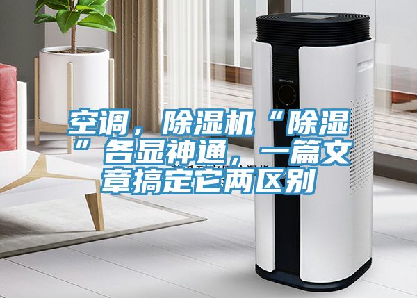 空调，杏仁直播app最新版下载“除湿”各显神通，一篇文章搞定它两区别