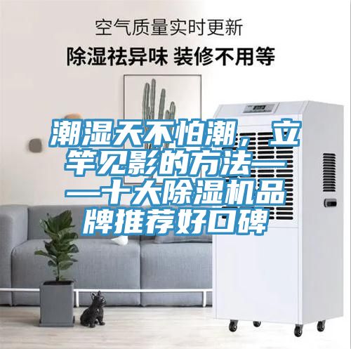 潮湿天不怕潮，立竿见影的方法——十大杏仁直播app最新版下载品牌推荐好口碑