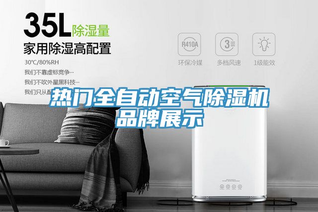 热门全自动空气杏仁直播app最新版下载品牌展示