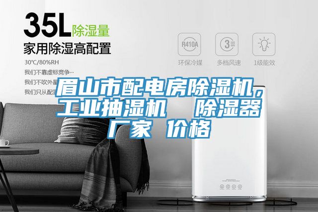 眉山市配电房杏仁直播app最新版下载，工业抽湿机  除湿器厂家 价格