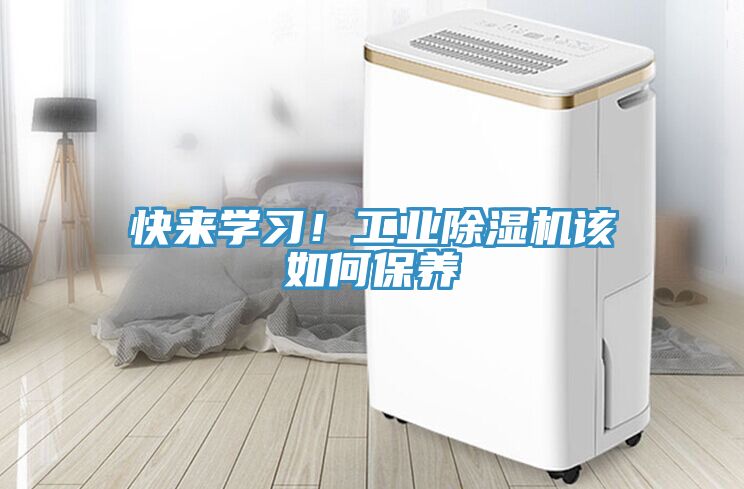 快来学习！工业杏仁直播app最新版下载该如何保养