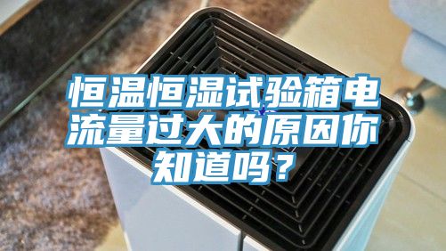 恒温恒湿试验箱电流量过大的原因你知道吗？