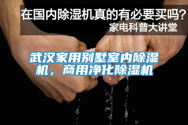 武汉家用别墅室内杏仁直播app最新版下载，商用净化杏仁直播app最新版下载