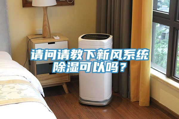 请问请教下新风系统除湿可以吗？