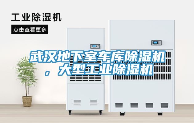 武汉地下室车库杏仁直播app最新版下载，大型工业杏仁直播app最新版下载