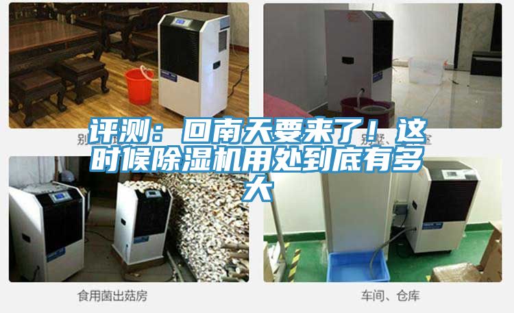 评测：回南天要来了！这时候杏仁直播app最新版下载用处到底有多大