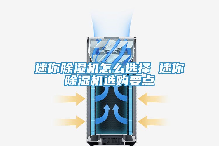 迷你杏仁直播app最新版下载怎么选择 迷你杏仁直播app最新版下载选购要点
