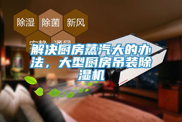 解决厨房蒸汽大的办法，大型厨房吊装杏仁直播app最新版下载