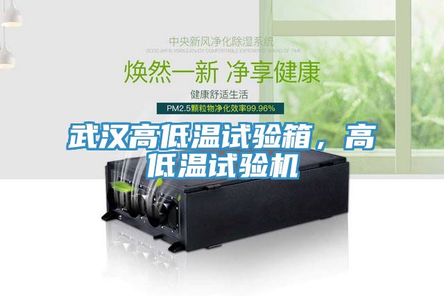 武汉高低温试验箱，高低温试验机