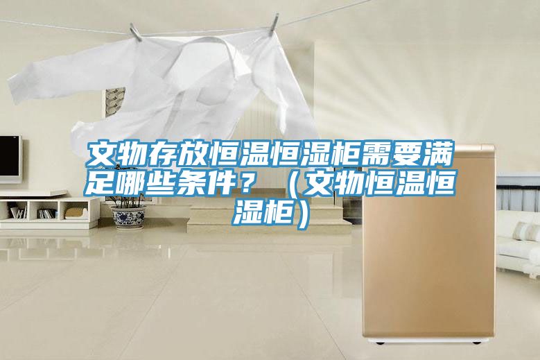 文物存放恒温恒湿柜需要满足哪些条件？（文物恒温恒湿柜）