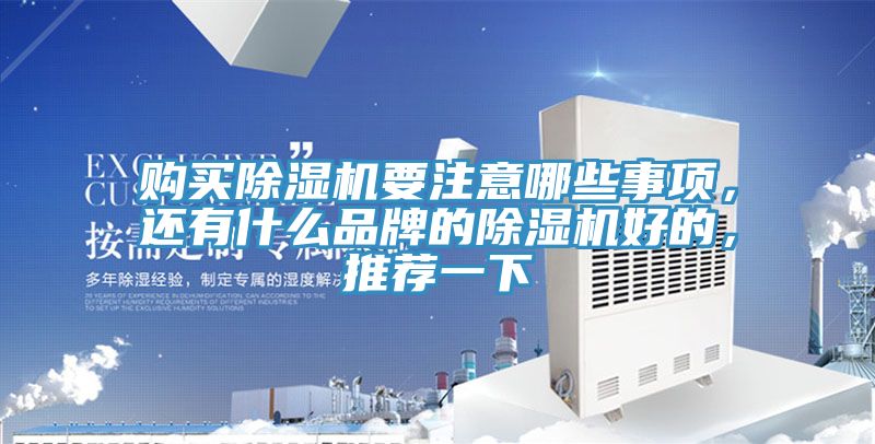 购买杏仁直播app最新版下载要注意哪些事项，还有什么品牌的杏仁直播app最新版下载好的，推荐一下