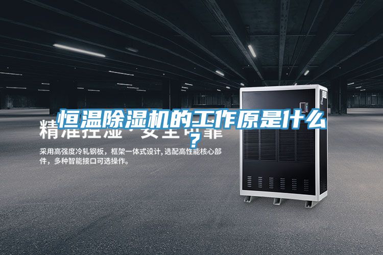 恒温杏仁直播app最新版下载的工作原是什么？