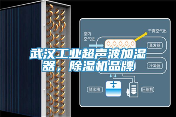 武汉工业超声波加湿器，杏仁直播app最新版下载品牌