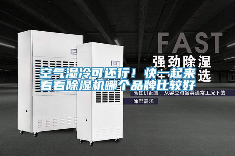 空气湿冷可还行！快一起来看看杏仁直播app最新版下载哪个品牌比较好