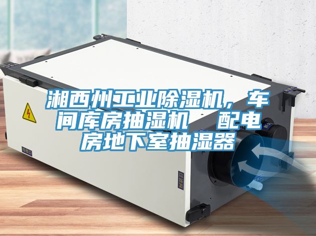 湘西州工业杏仁直播app最新版下载，车间库房抽湿机  配电房地下室抽湿器