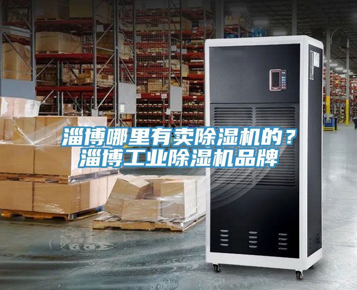 淄博哪里有卖杏仁直播app最新版下载的？淄博工业杏仁直播app最新版下载品牌