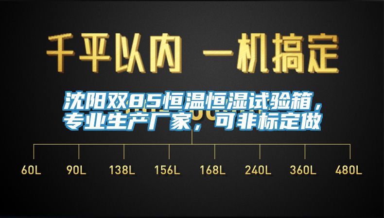 沈阳双85恒温恒湿试验箱，专业生产厂家，可非标定做