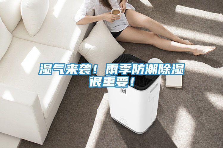 湿气来袭！雨季防潮除湿很重要！