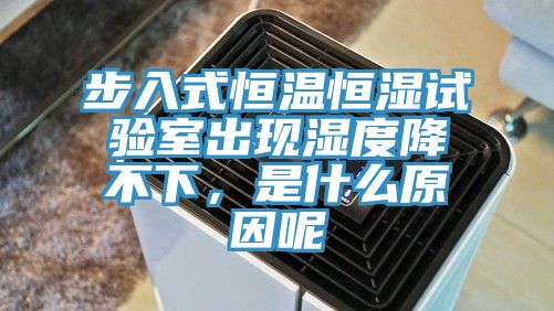 步入式恒温恒湿试验室出现湿度降不下，是什么原因呢