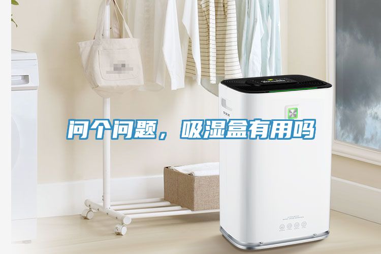 问个问题，吸湿盒有用吗