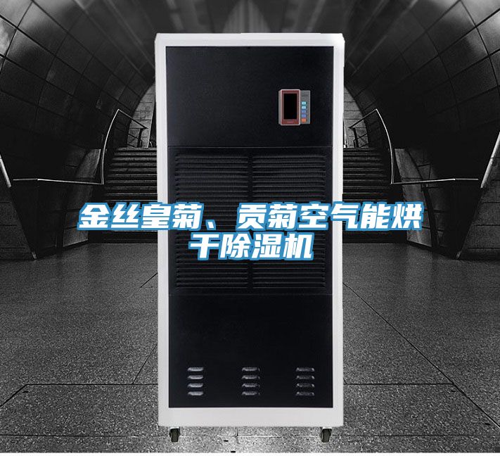 金丝皇菊、贡菊空气能烘干杏仁直播app最新版下载