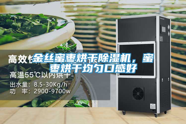 金丝蜜枣烘干杏仁直播app最新版下载，蜜枣烘干均匀口感好