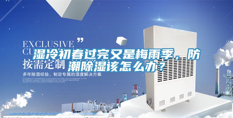 湿冷初春过完又是梅雨季，防潮除湿该怎么办？