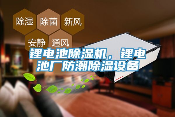 锂电池杏仁直播app最新版下载，锂电池厂防潮除湿设备