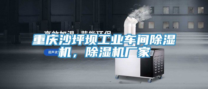 重庆沙坪坝工业车间杏仁直播app最新版下载，杏仁直播app最新版下载厂家