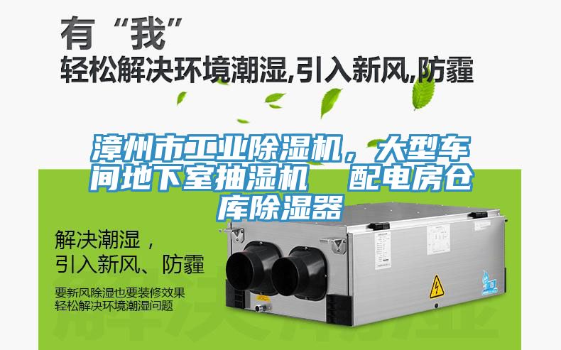漳州市工业杏仁直播app最新版下载，大型车间地下室抽湿机  配电房仓库除湿器