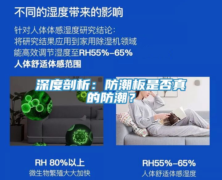 深度剖析：防潮板是否真的防潮？