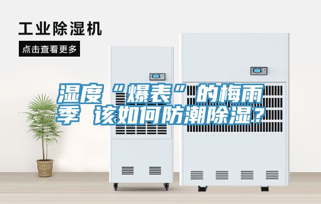 湿度“爆表”的梅雨季 该如何防潮除湿？