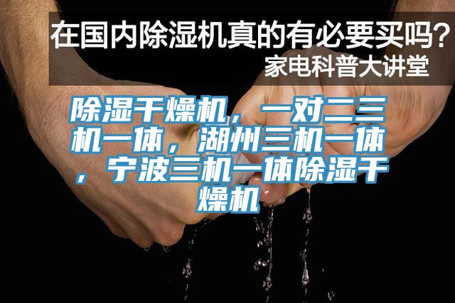 除湿干燥机，一对二三机一体，湖州三机一体，宁波三机一体除湿干燥机