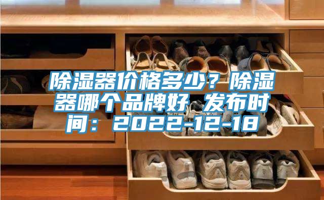 除湿器价格多少？除湿器哪个品牌好 发布时间：2022-12-18