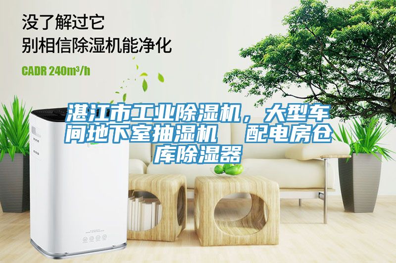 湛江市工业杏仁直播app最新版下载，大型车间地下室抽湿机  配电房仓库除湿器