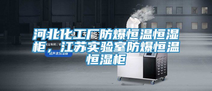 河北化工厂防爆恒温恒湿柜，江苏实验室防爆恒温恒湿柜