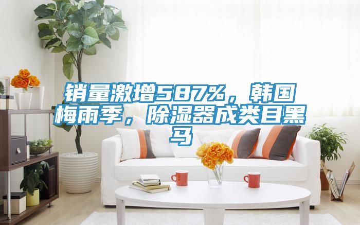 销量激增587%，韩国梅雨季，除湿器成类目黑马