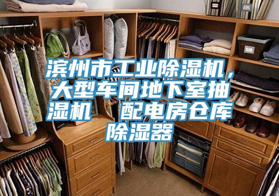 滨州市工业杏仁直播app最新版下载，大型车间地下室抽湿机  配电房仓库除湿器