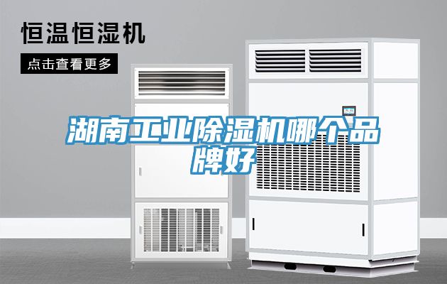 湖南工业杏仁直播app最新版下载哪个品牌好