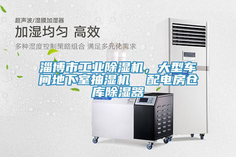 淄博市工业杏仁直播app最新版下载，大型车间地下室抽湿机  配电房仓库除湿器