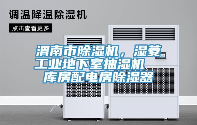 渭南市杏仁直播app最新版下载，湿菱工业地下室抽湿机  库房配电房除湿器